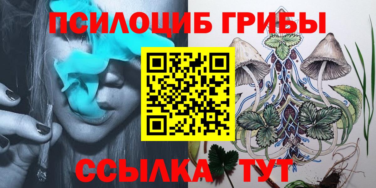 Псилоцибиновые грибы прущие грибы Приморско-Ахтарск