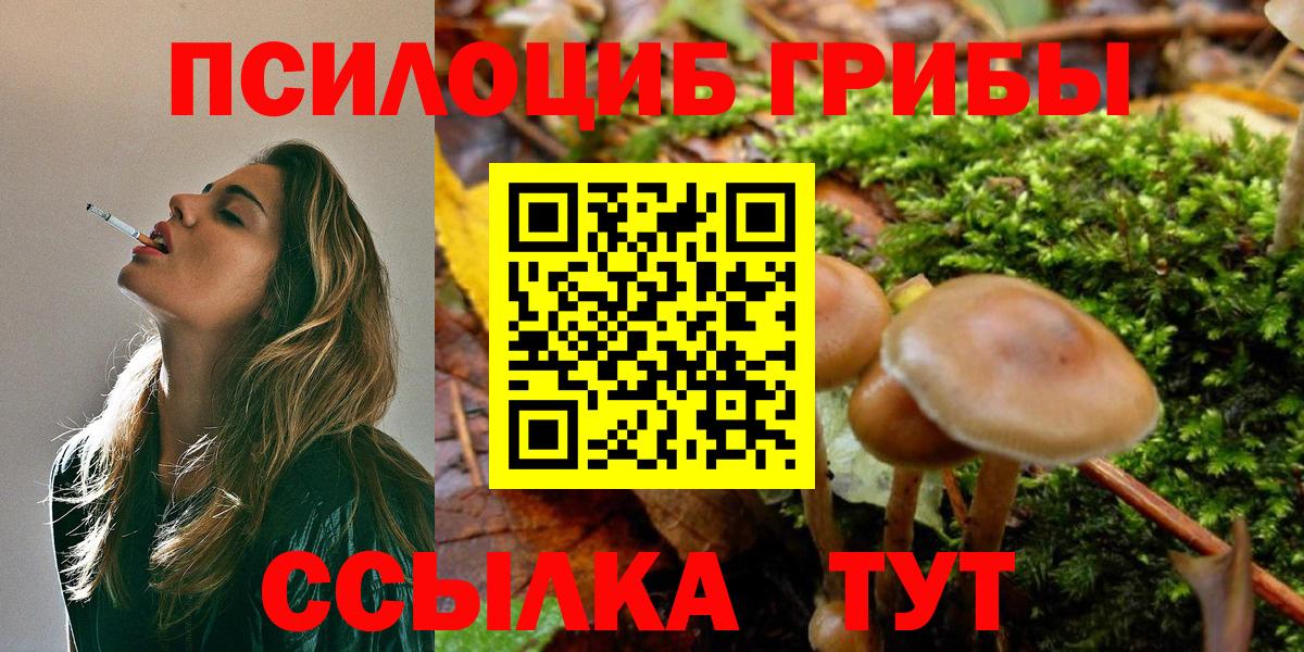 Галлюциногенные грибы Magic Shrooms  Псилоцибиновые грибы GOLDEN TEACHER  Вход с VPN  Приморско-Ахтарск 